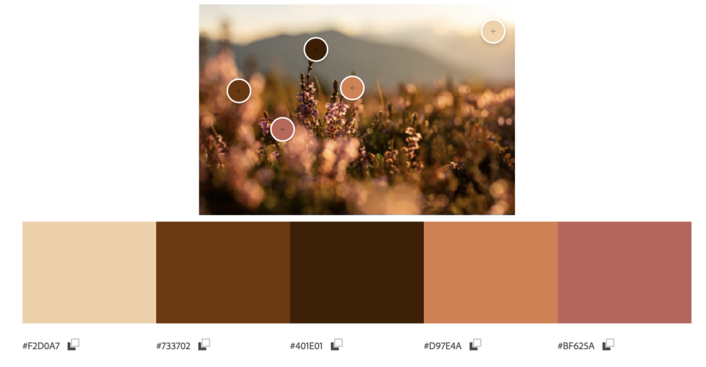 Color palette generated from an image using the Adobe Extract Theme tool.